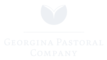 Georgina Pastoral